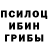 Псилоцибиновые грибы GOLDEN TEACHER Zakir Kenehov
