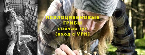 трава Абаза