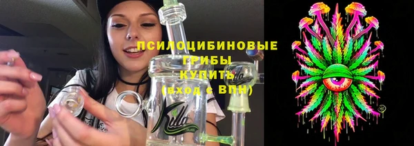 трава Абаза