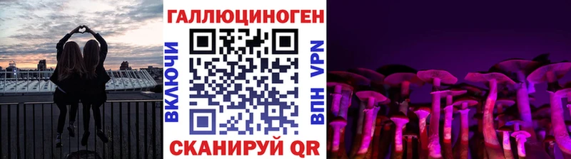 Псилоцибиновые грибы Psilocybe  darknet наркотические препараты  Балаково 