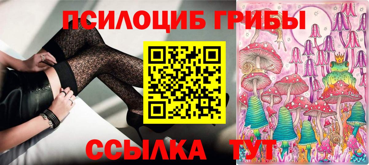 Балаково  Галлюциногенные грибы мицелий  Вход с VPN  Псилоцибиновые грибы мухоморы 
