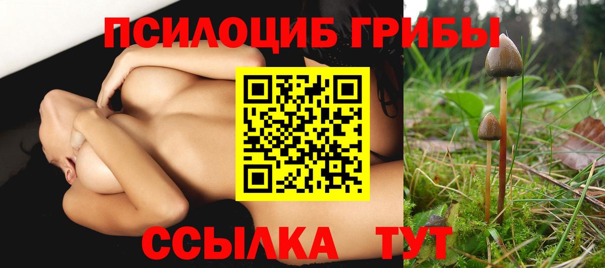 Псилоцибиновые грибы прущие грибы Балаково